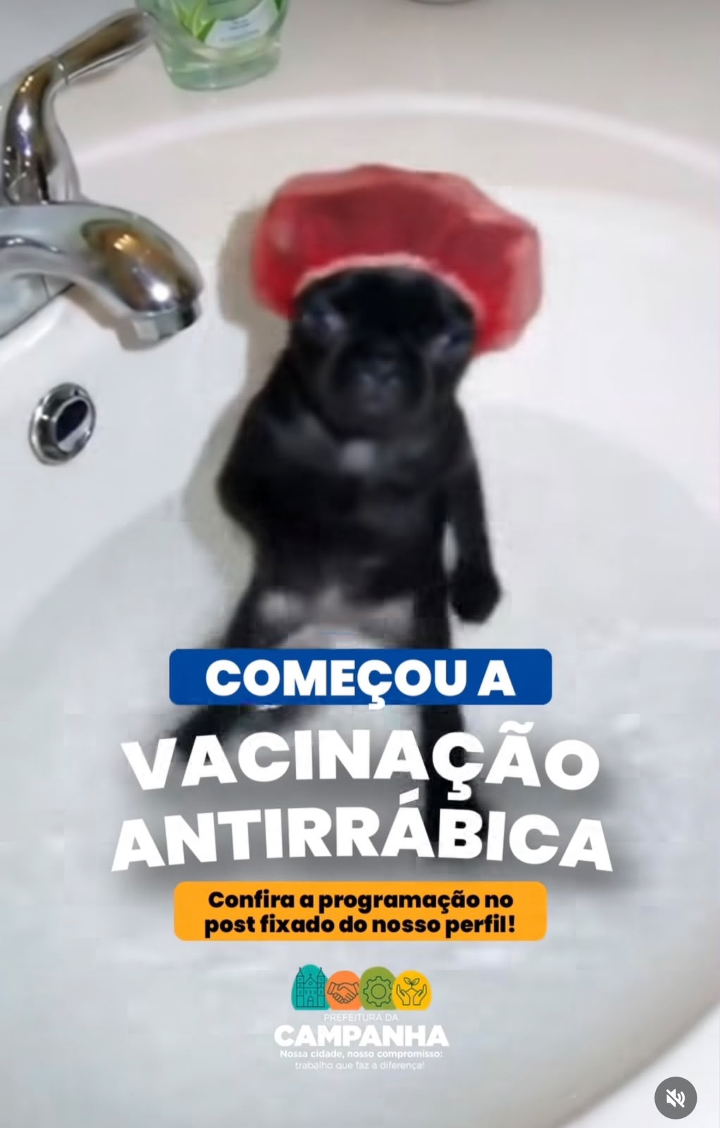 724a66ab d0a1 47b2 9e4b ddb9cad4b4e0
